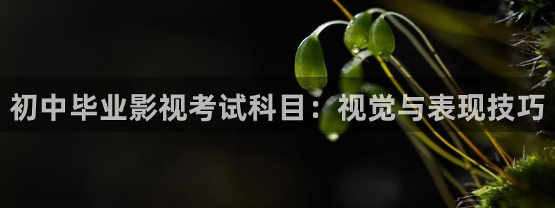 91嫩草懂你的影院